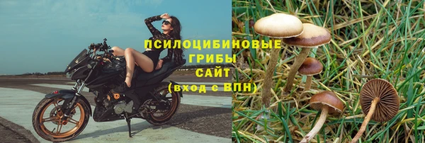 молекула духа Баксан
